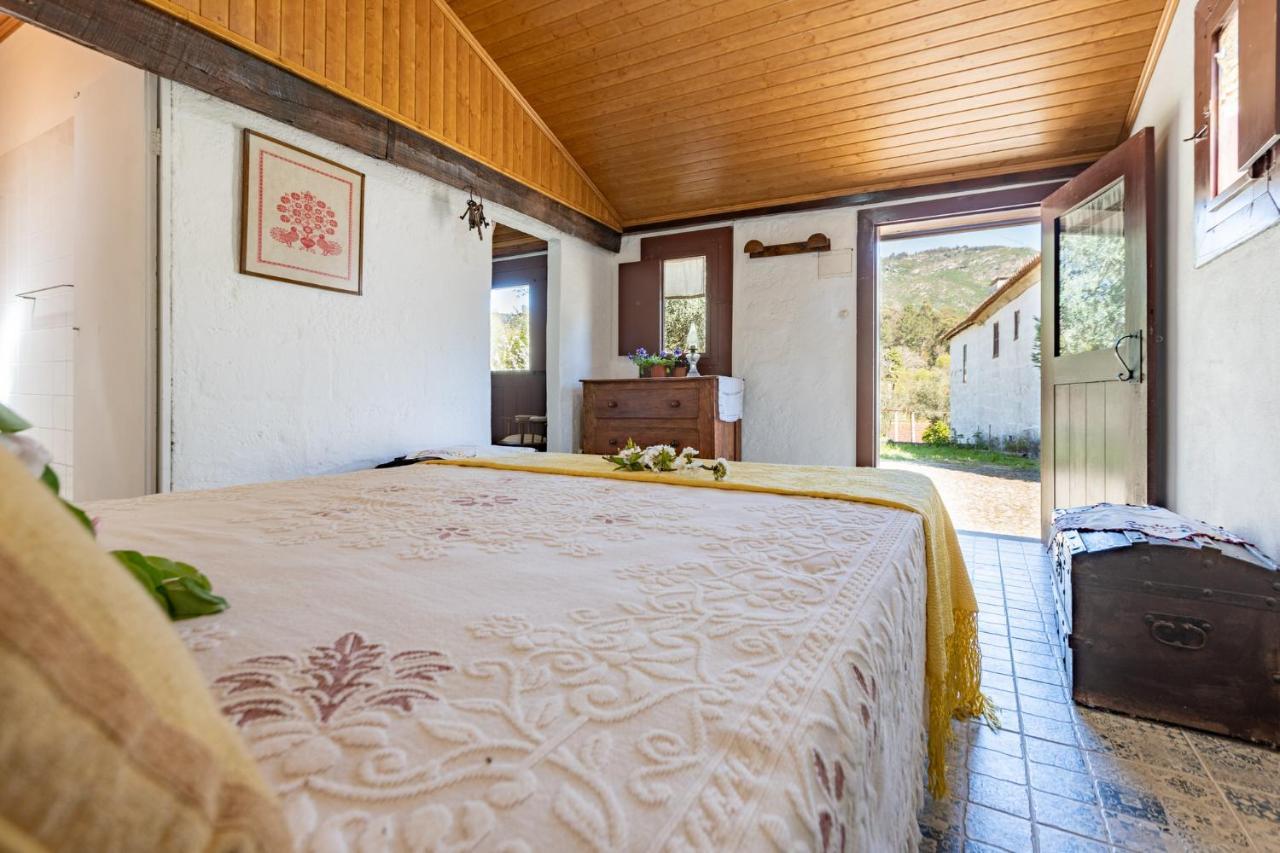 Casa Lavoura Em Requeixo Guest House Celorico De Basto Bagian luar foto